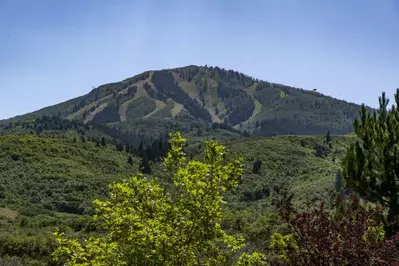 mountain view