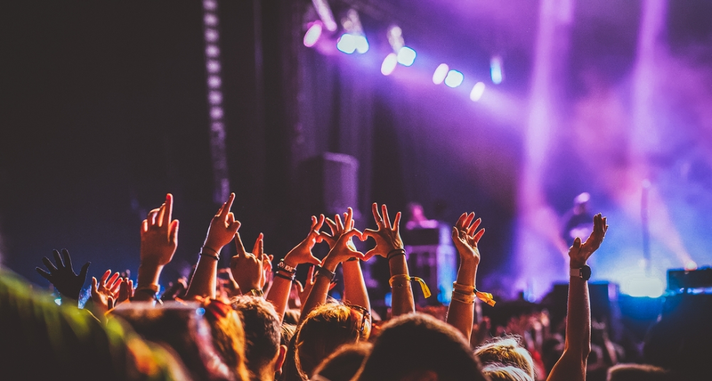 people in the audience of a concert