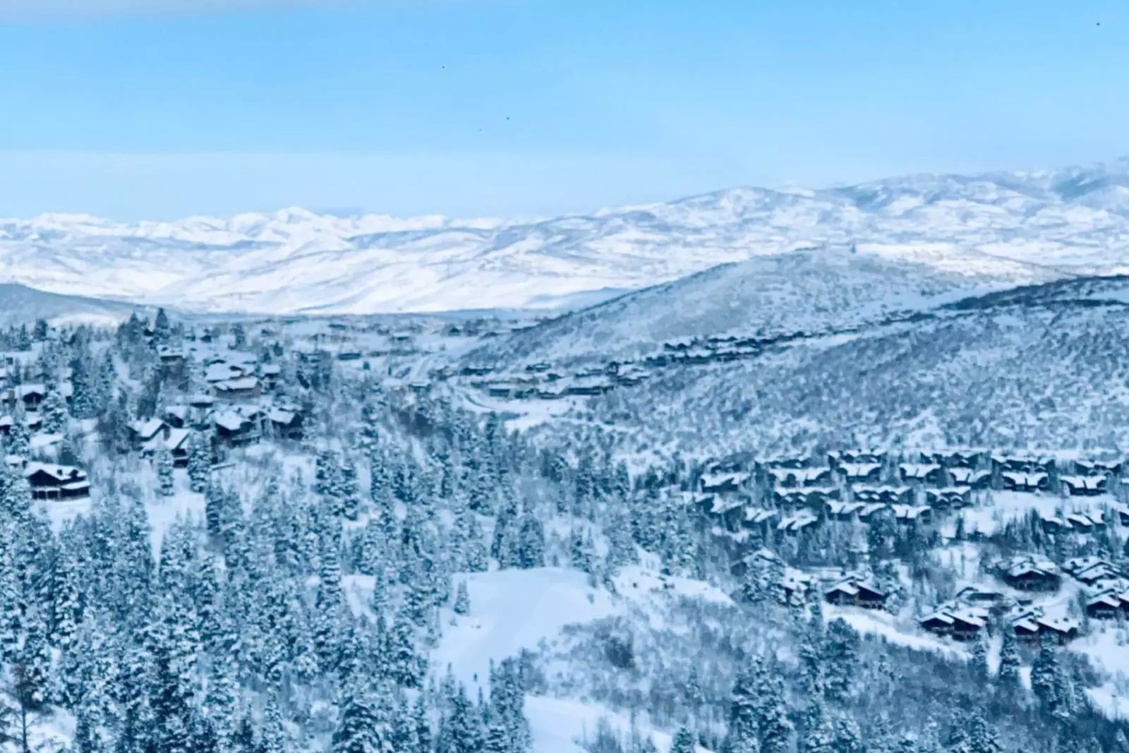 snow covered mountains