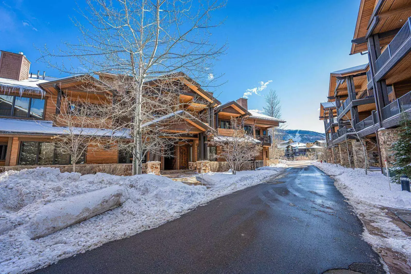 The front door of the home has street level access to the home without any stairs.