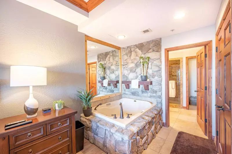 Primary Suite In Room Jetted Bath Tub