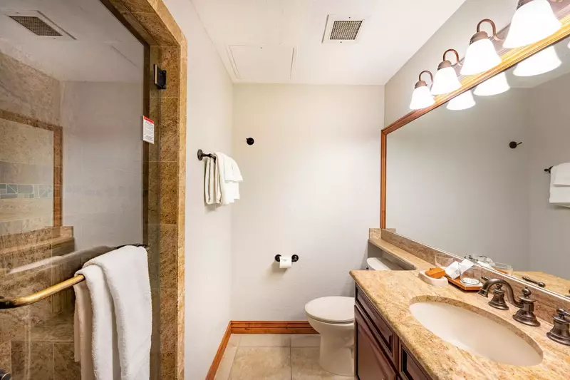 Guest Suite Bathroom with a walk in Shower