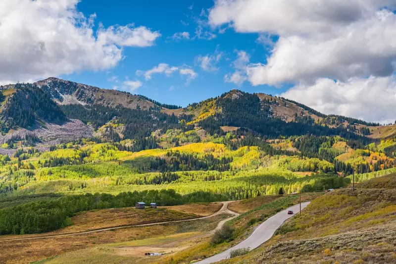 Deer Valley Blackbear 108