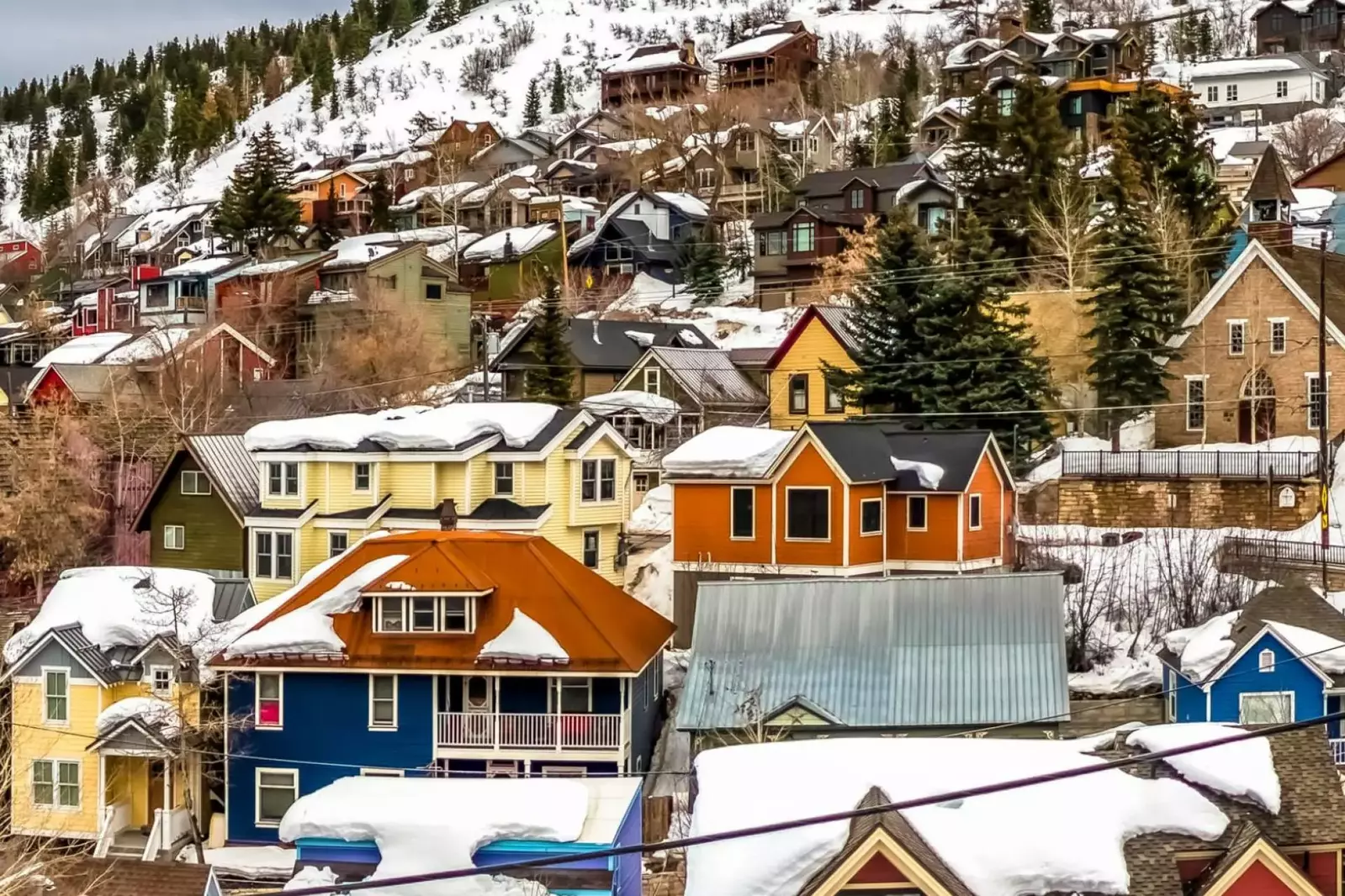 Deer Valley Blackbear 108