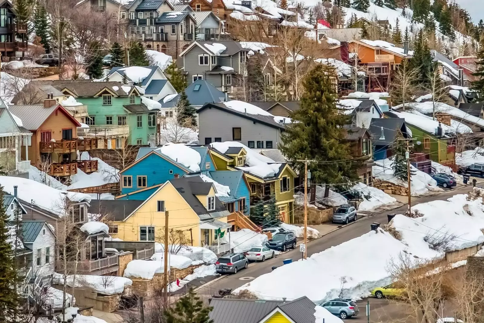 A mark of distinction