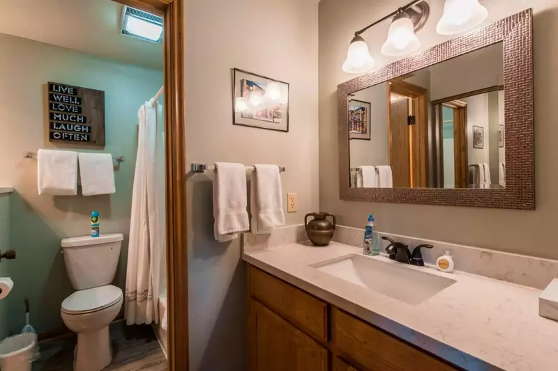Master En Suite w Large Quartz Vanity, Separate Toilet/Shower Area