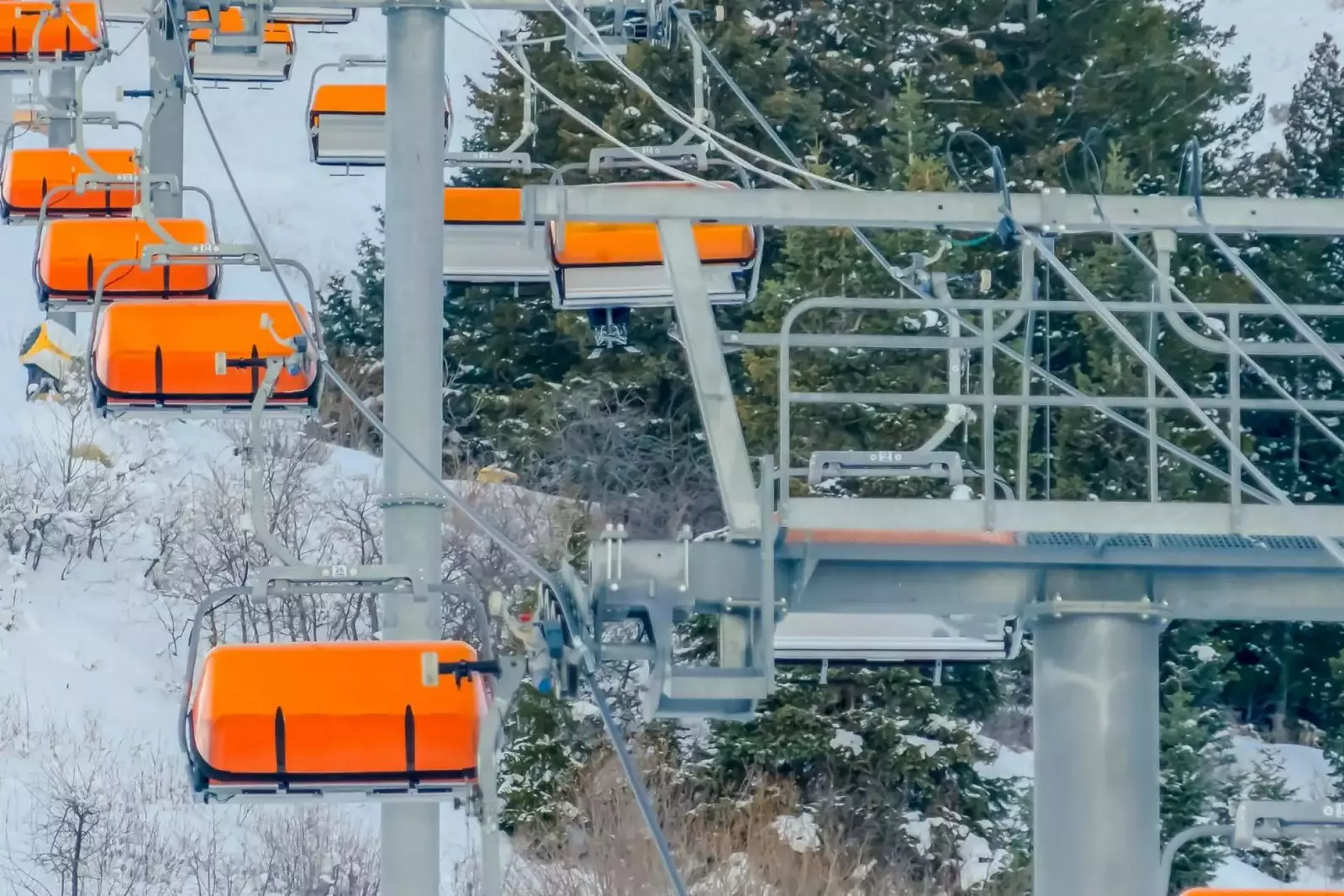 Fly High at Park City