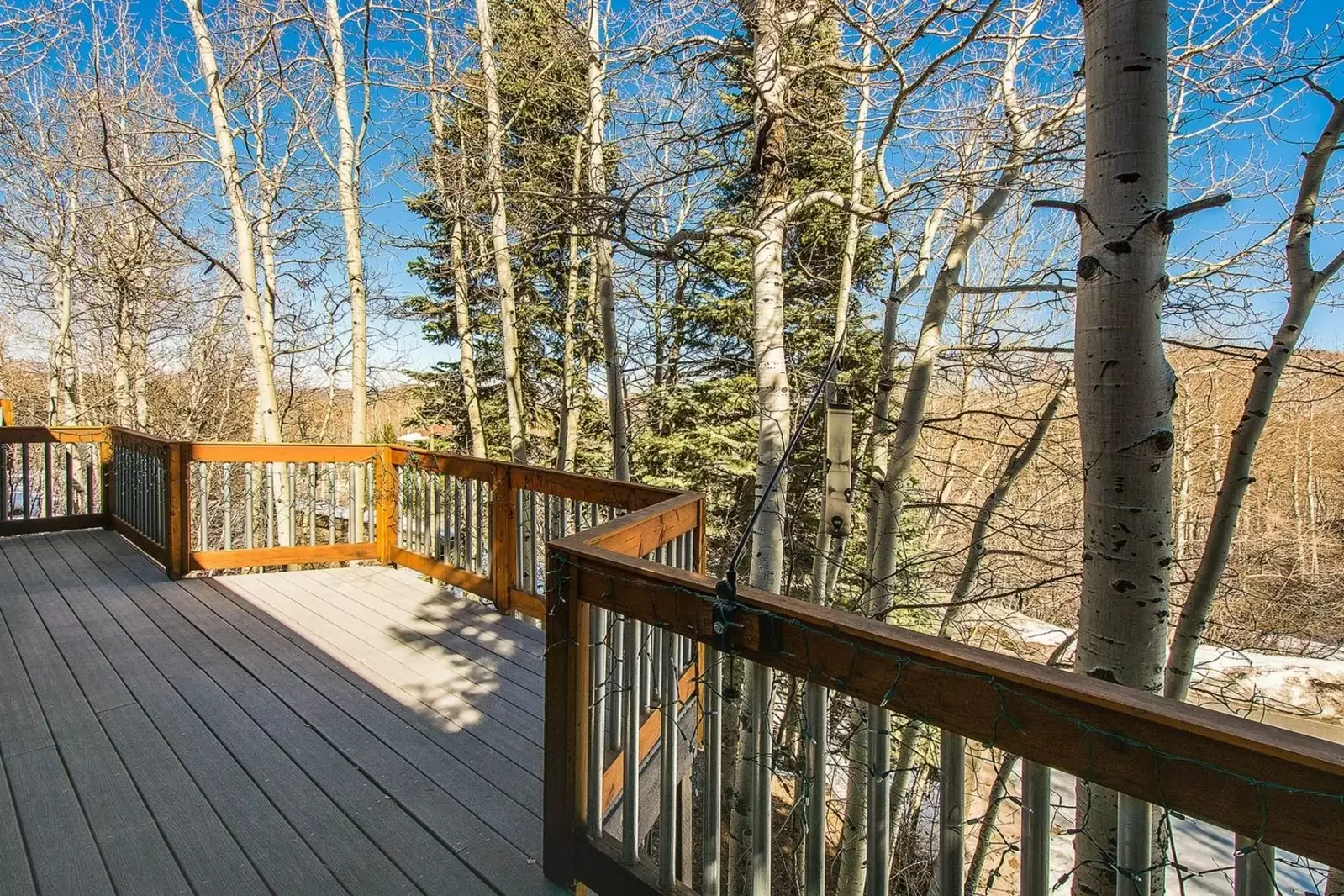 Aspen and pine trees nestle around the deck.