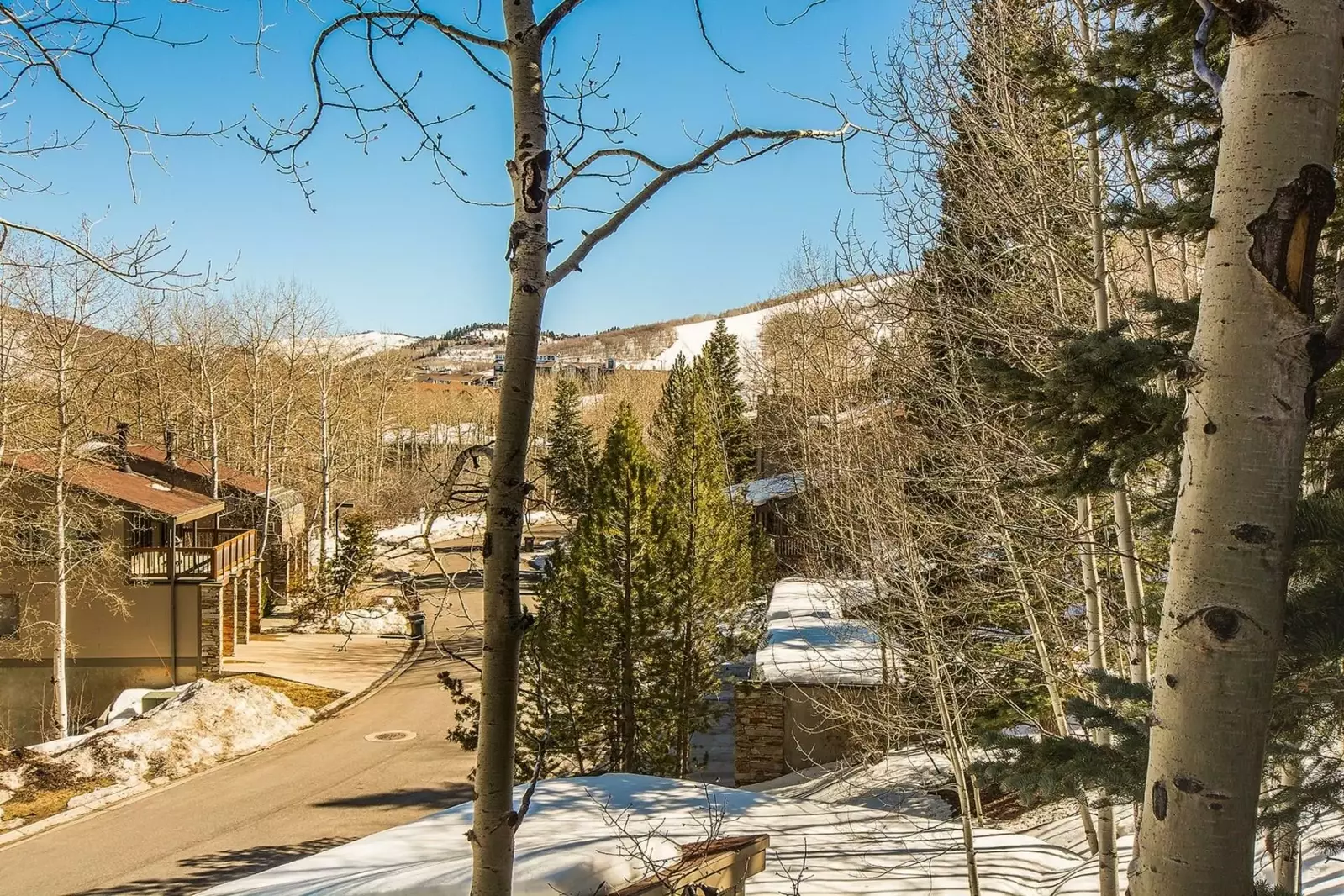 Private road to Crescent Ridge properties.