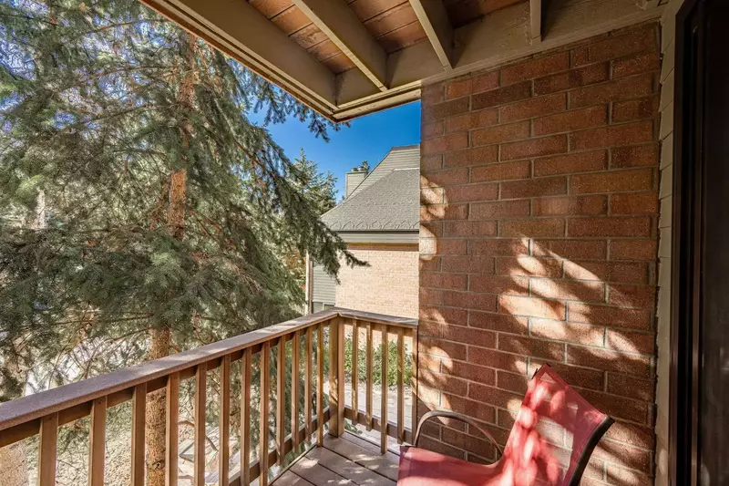 This is the second patio in this home, it is located just off the primary suite and can be accessed from the sliding glass doors. The historic evergre