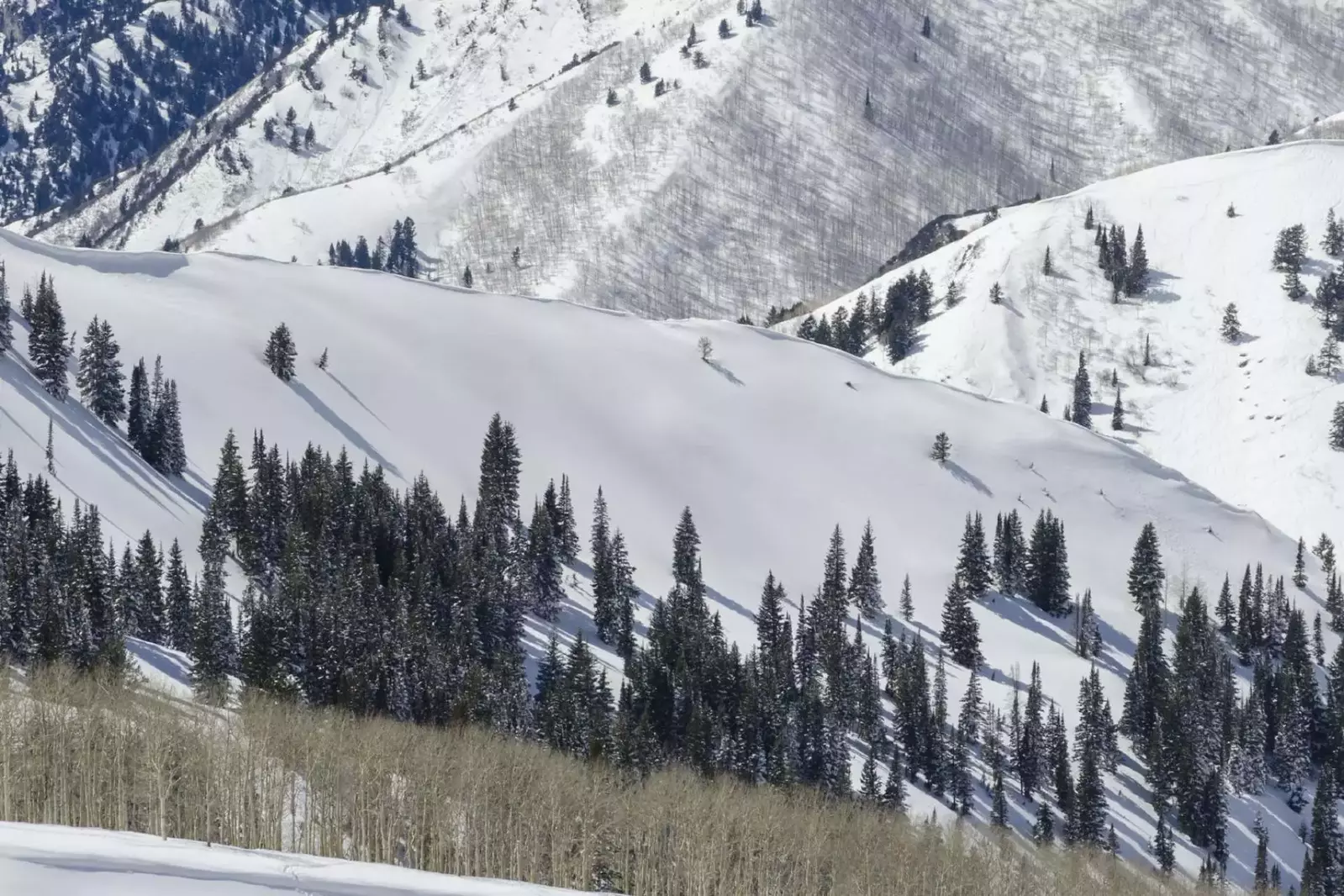 A beautiful view of the Park City mountain terrain from just outside the home.