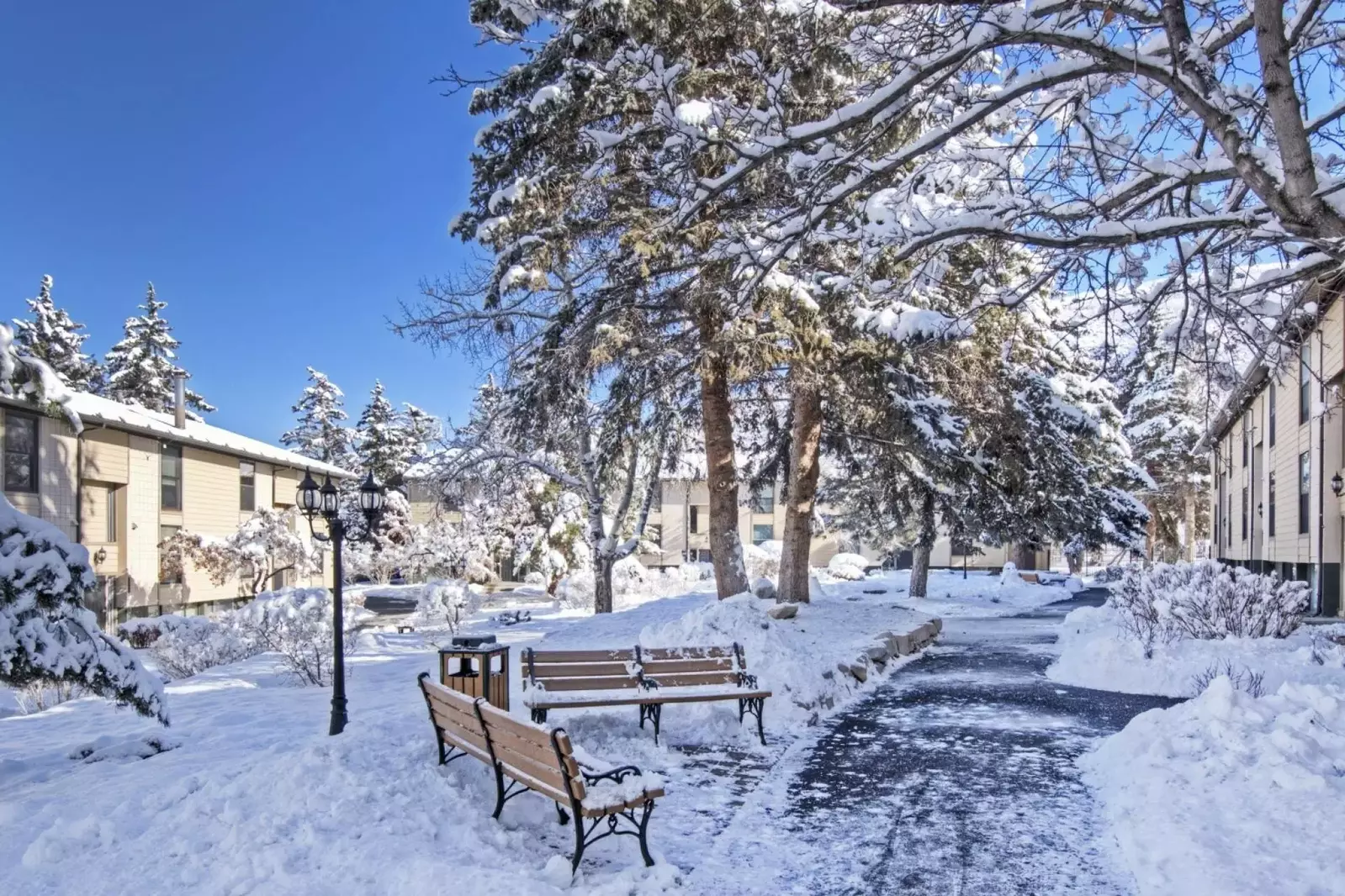 Gorgeous winter view in the courtyard - our first floor home is in a very convenient location for quick pool or ski access!