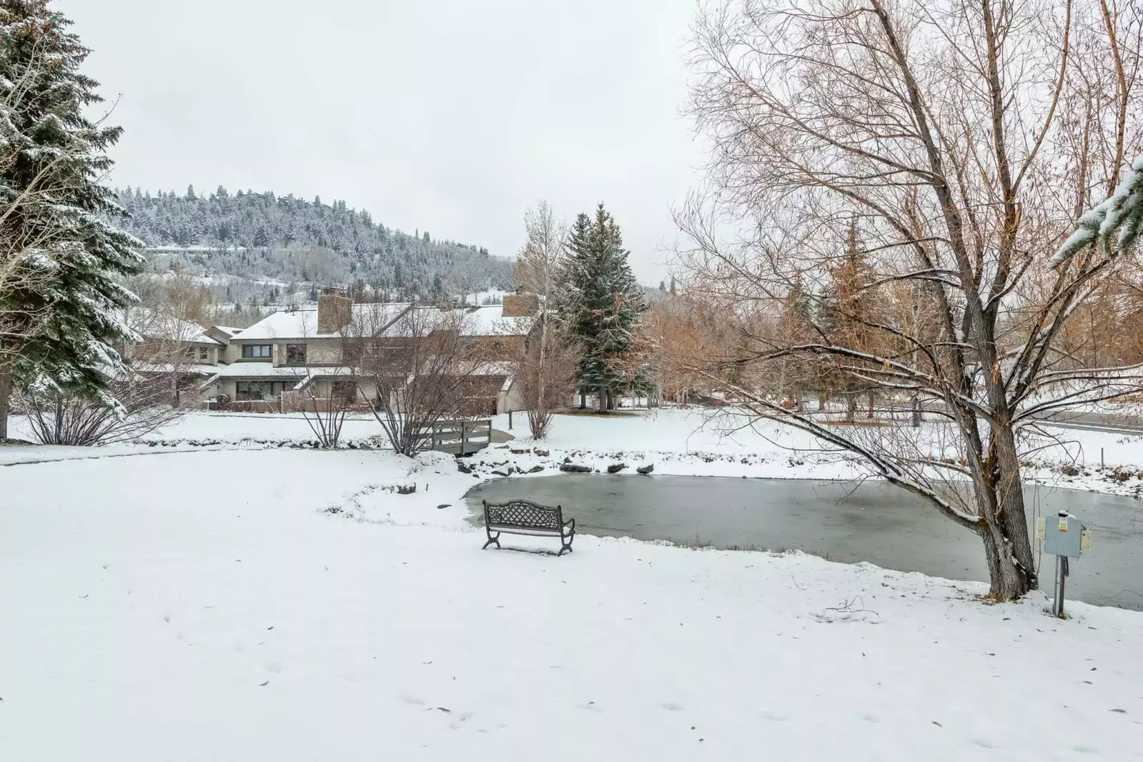 Relax by the nearby Pond and Feed the Ducks that is just steps away from your home