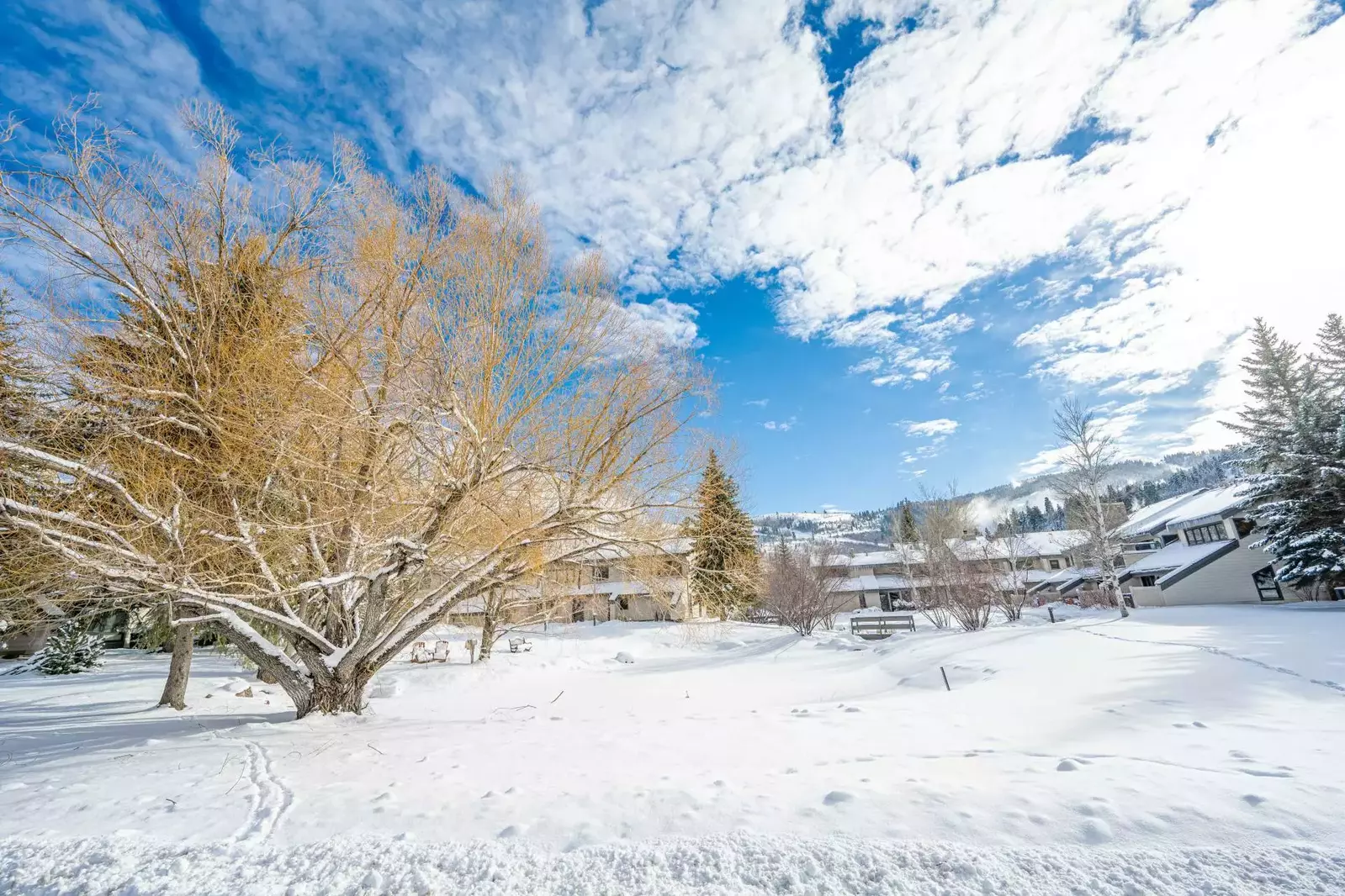 This home is located in the heart of Deer Valley, just 5 minutes to skiing.Take in this serene view from the back of the home.