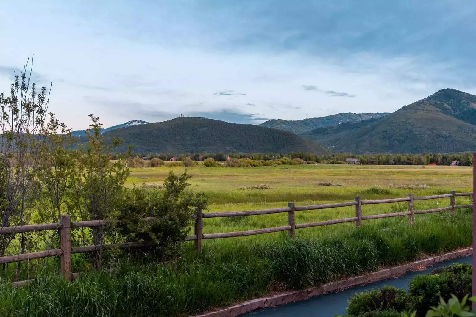 View from Deck - Swaners Nature Preserve in your Backyard!