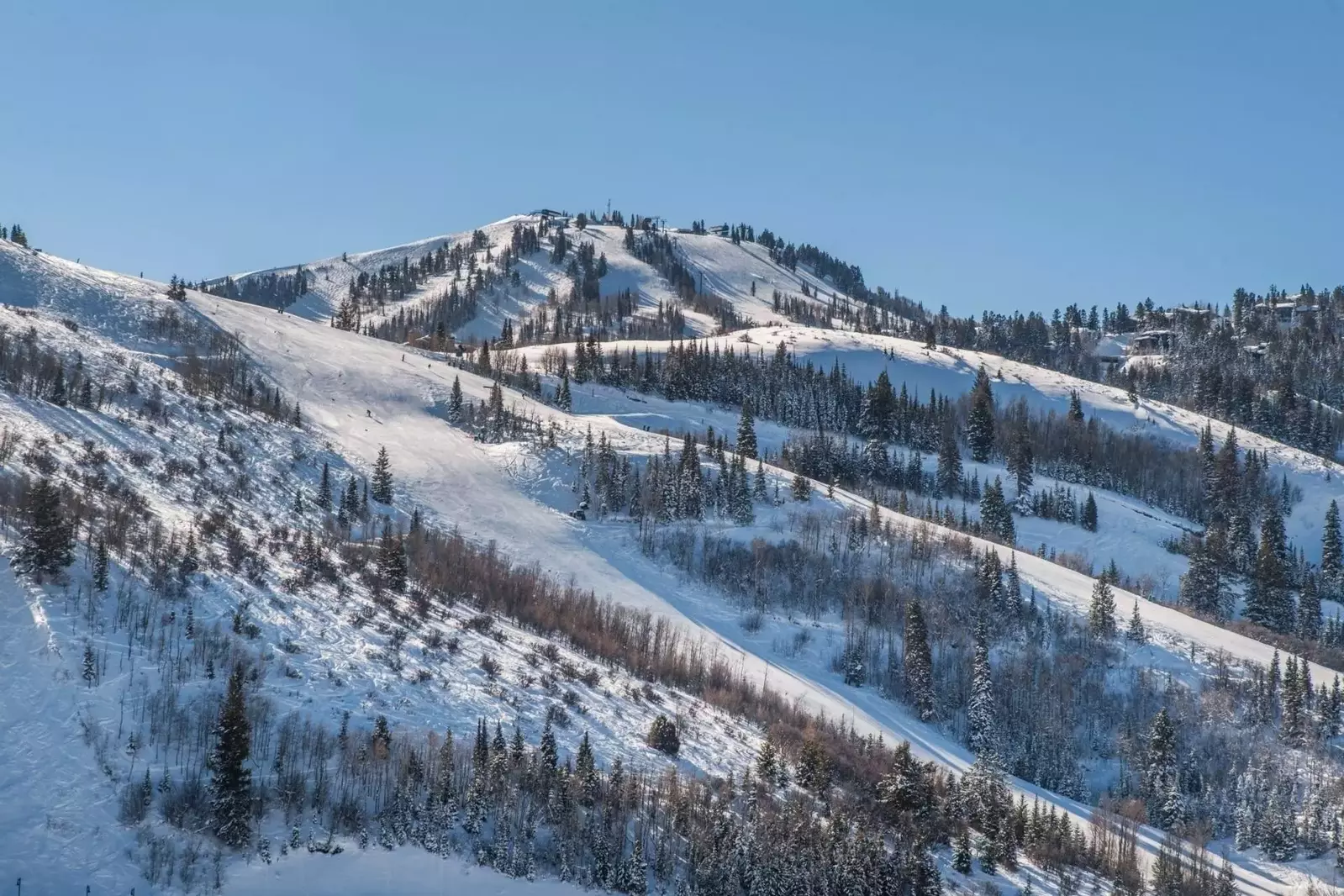 Blackstone Flats 212