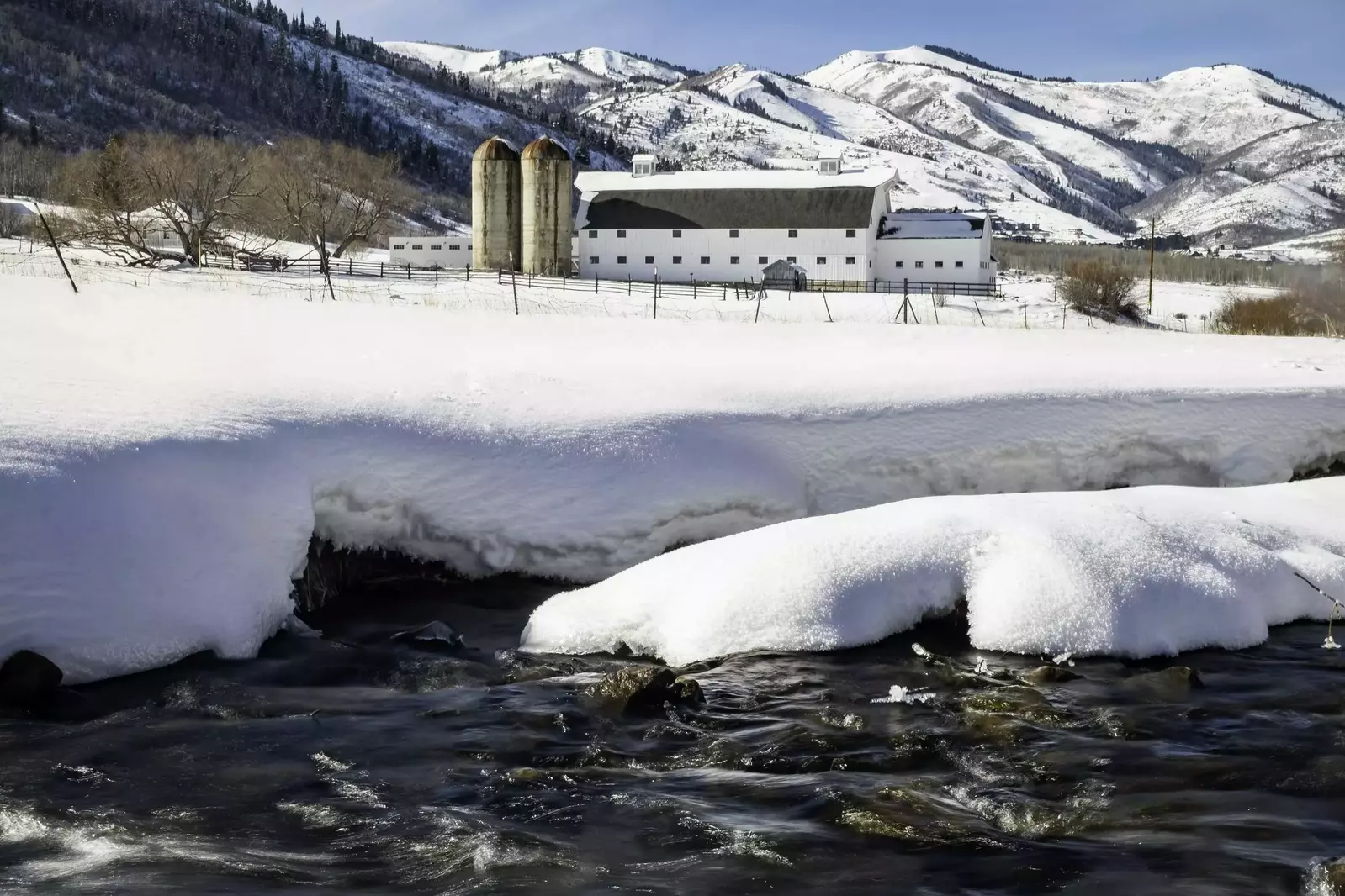 Blackstone Flats 212