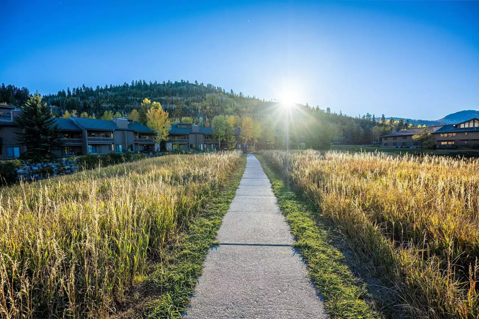 Blackstone Flats 212