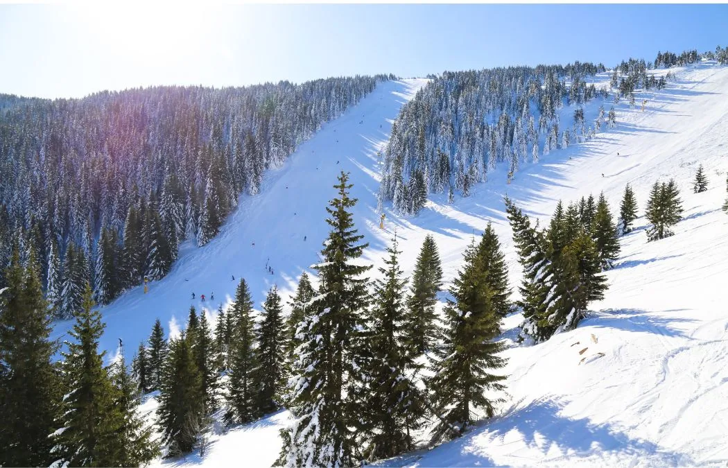 Skiing at Park City Mountain Resort during winter ski season