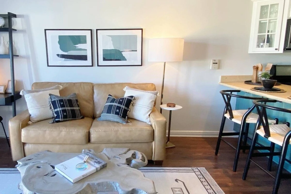 Throw Pillows for additional sofa comfort