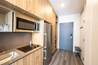 Full Gourmet Kitchenette with a full sized fridge, freezer, 2 burner stove, dishwasher, and microwave