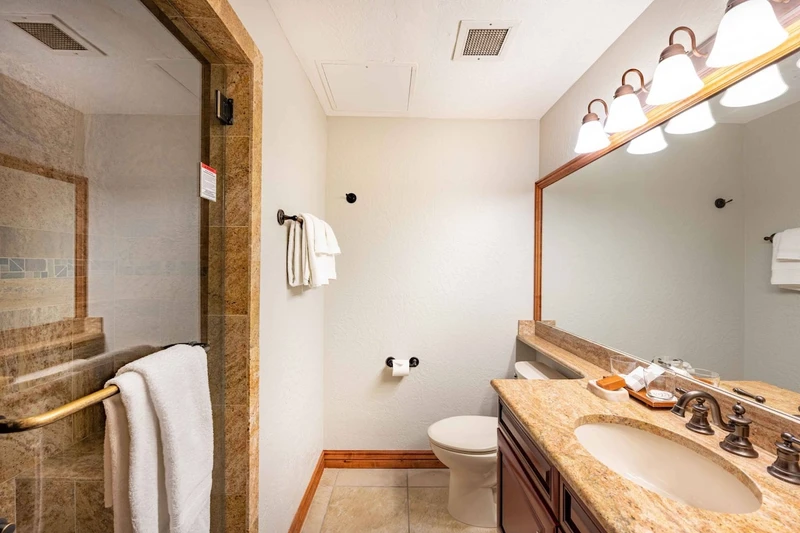 Guest Suite Bathroom with a walk in Shower