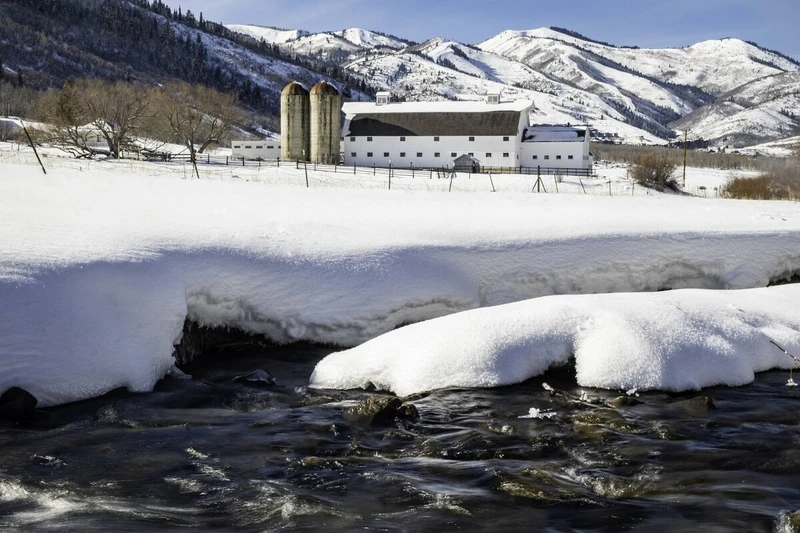 Picture #47
